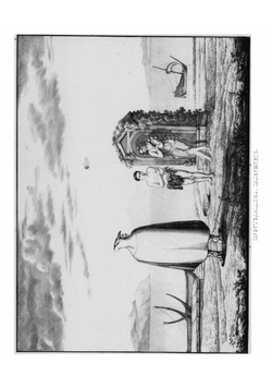 Воспоминания о Сицилии | Чертков Александр Дмитриевич