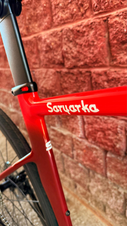 Арт Велосипед Saryarka L