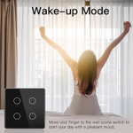 Сенсорный выключатель Zigbee 1CH беспроводной SS1 (на аккумуляторах, белый)