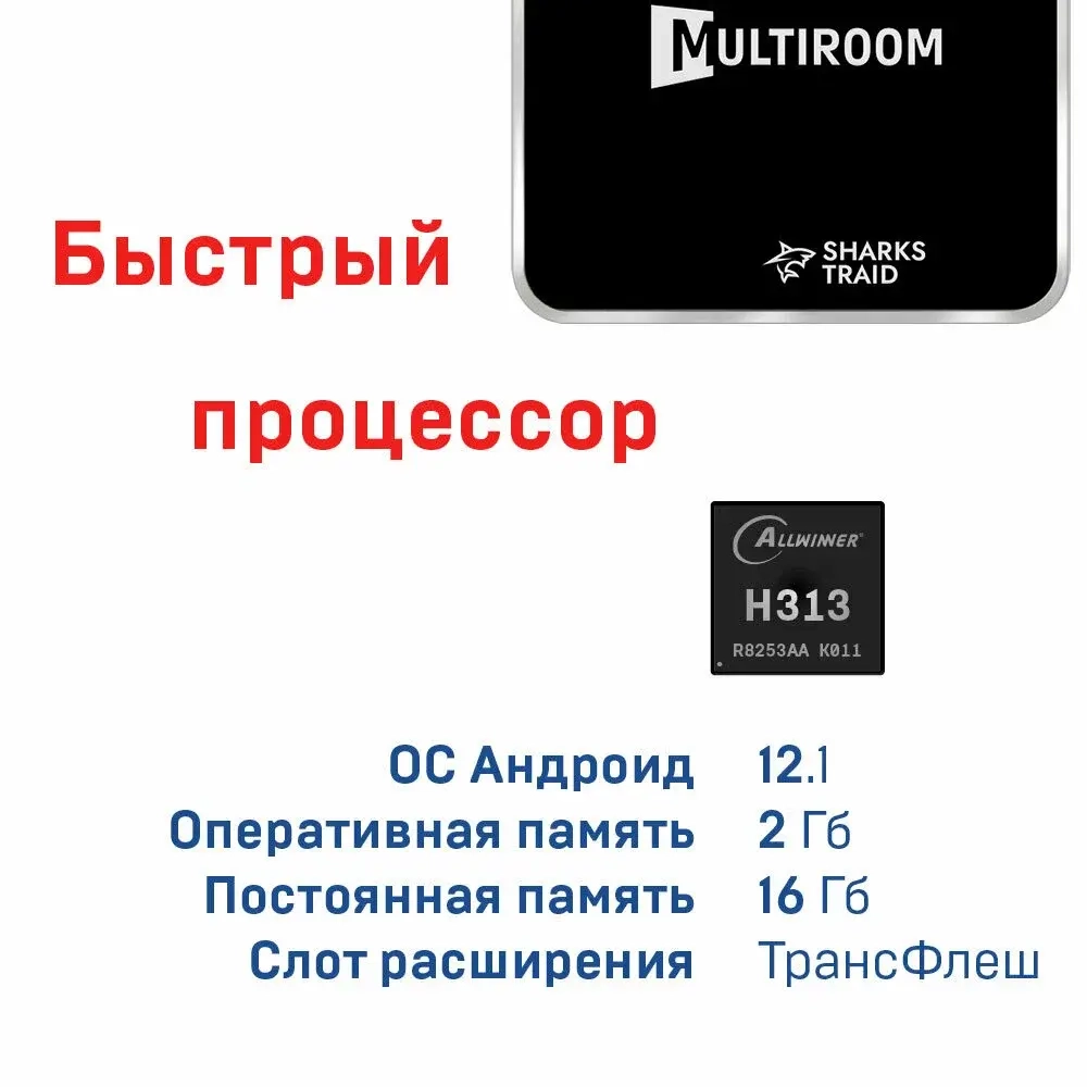 Смарт-приставка для цифрового ТВ SharksTraid Multiroom, Андроид 12, 2 Гб + 16 Гб