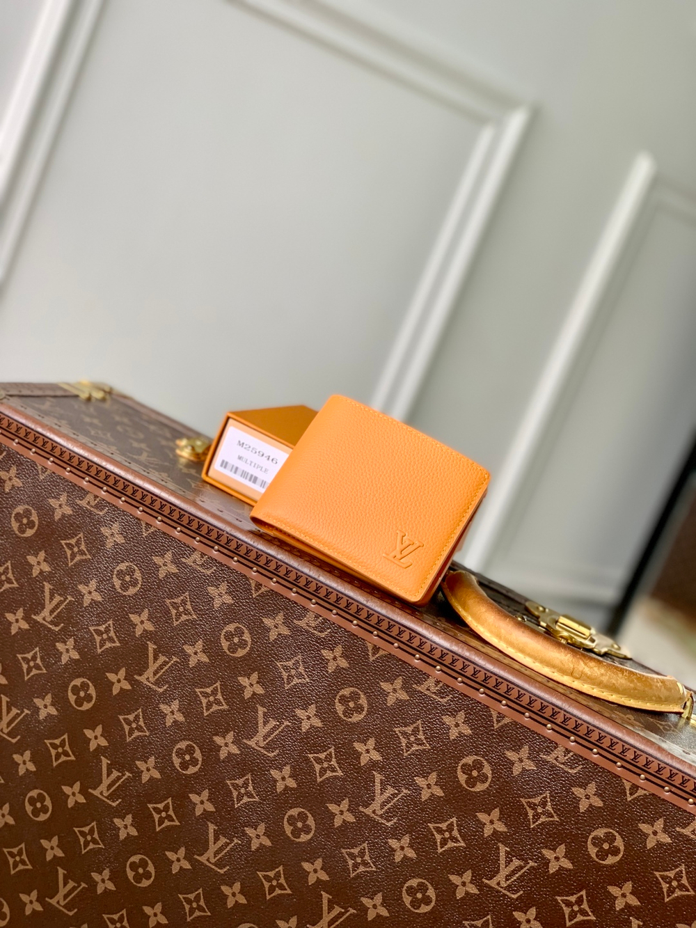 Louis Vuitton Multiple Wallet