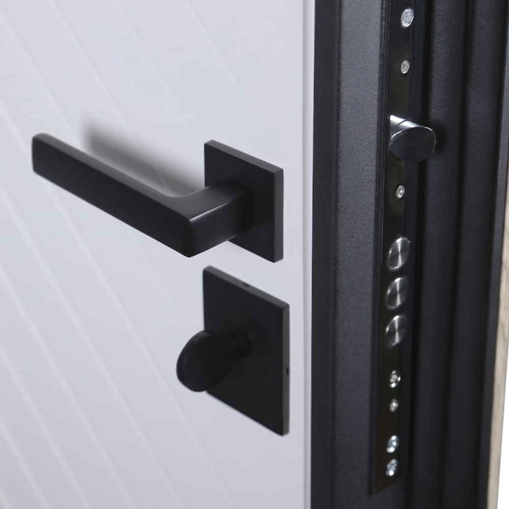 Стальная дверь «Vertu» (адаптивная замковая часть). Заказная модель.