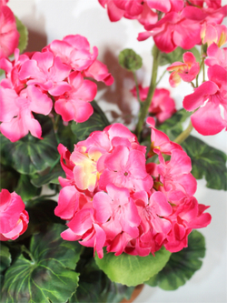 Искусственные цветы Герань малиновая 40см в балконном ящике