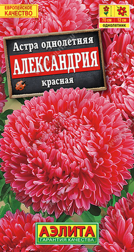 Астра Александрия красная 0,1гр Аэлита