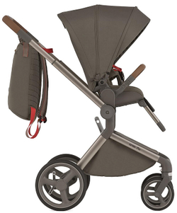 Детская коляска Anex Flo 2 в 1 Cesar