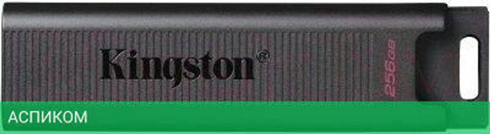USB Flash-накопитель Kingston DTMAX/256GB
