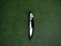 DSCN1985.JPG