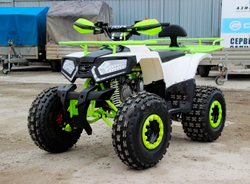 Квадроцикл IRIDE KOKS 125 8