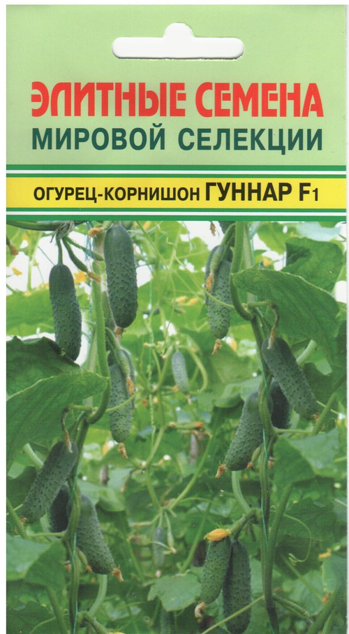 Огурец Гуннар F1