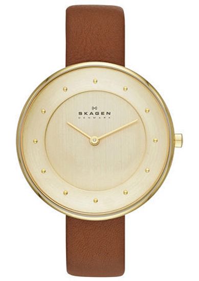 Наручные часы Skagen SKW2138