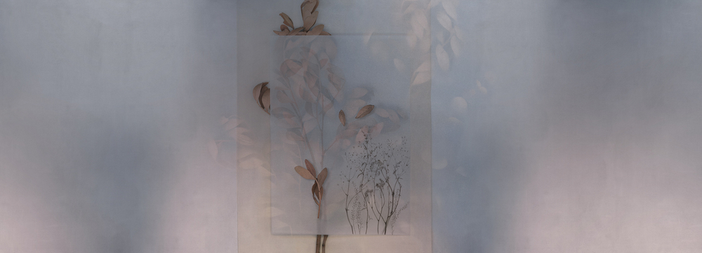 Дизайнерские обои Factura EVIGILATIO