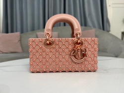 Christian Dior Lady D-Joy Bag 22 cm
