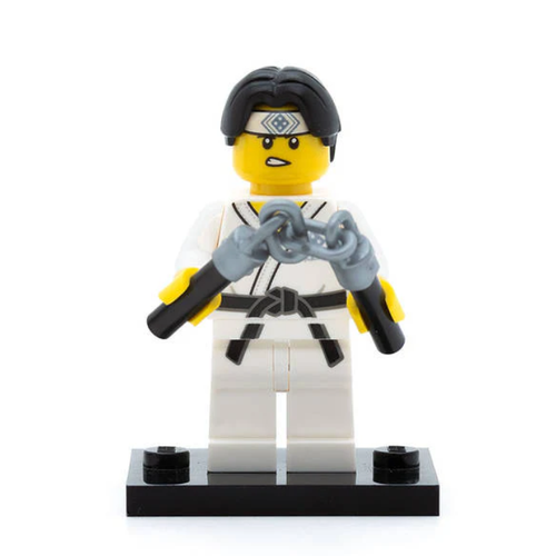 Каратист 71027 col20-10