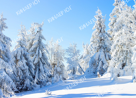 Баннер "Новый год" арт. Б1-16