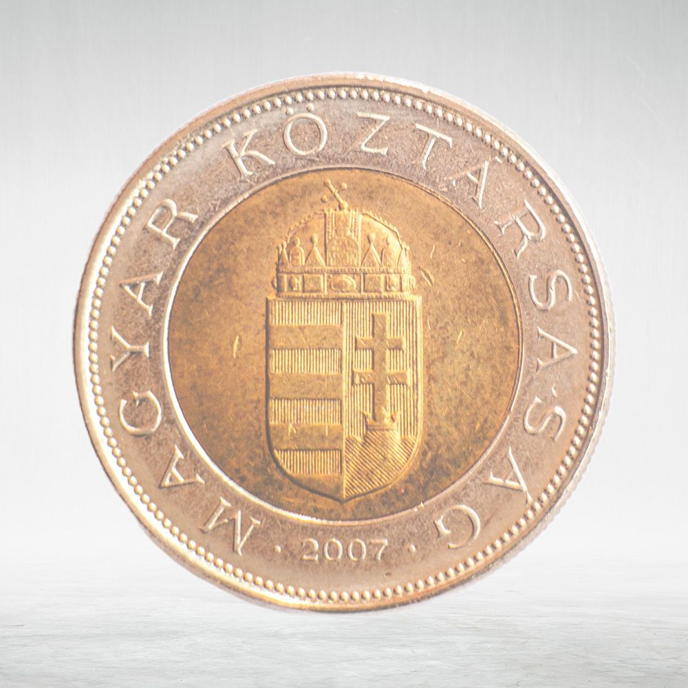 Hungary, 100 Forint, 2007, VF