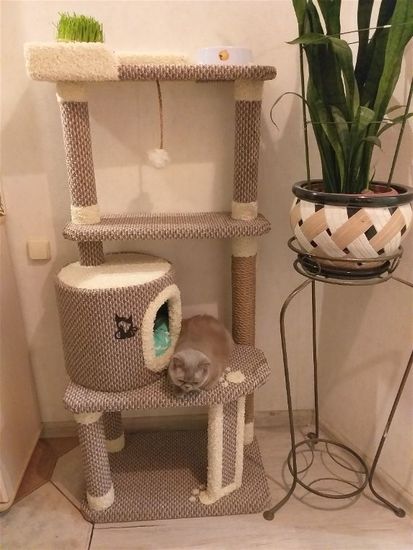 Дом для кота И-91