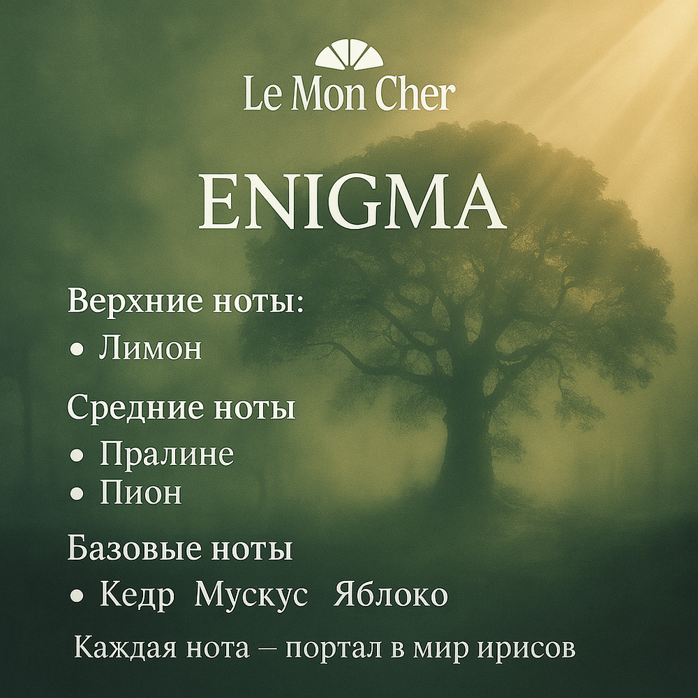 Enigma eau de parfum от Le Mon Cher
