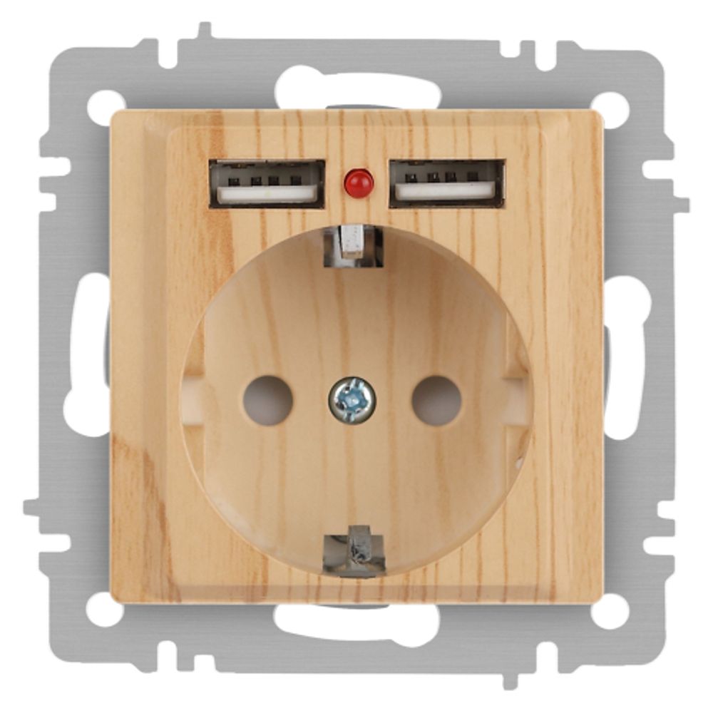 Розетка Intro Accent 6-410-11 , P+E Schuko со шторками, 16А-250В + 2хUSB, IP20, СУ, сосна