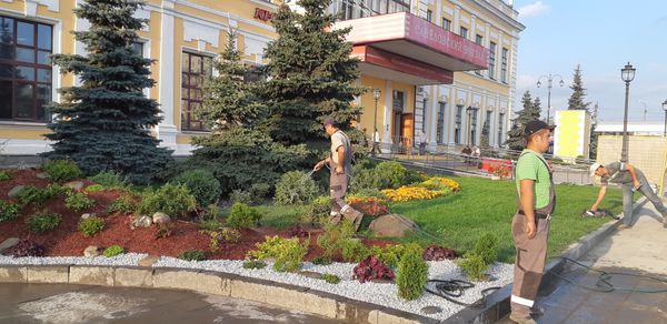 Обновление зелёной зоны на Савеловском вокзале
