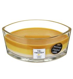 Летние фрукты, ароматическая свеча эллипс, WoodWick