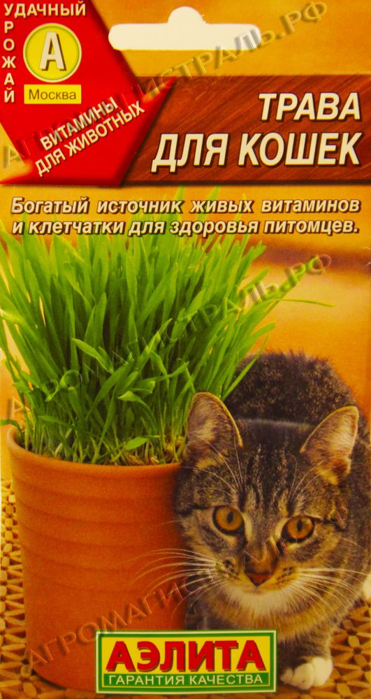Трава для кошек Аэлита Ц