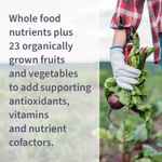 Garden of Life, Vitamin Code, мультивитамины из цельных продуктов для мужчин, 240 вегетарианских капсул