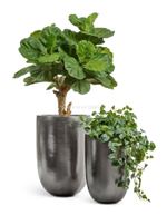 Кашпо TREEZ Effectory - Metal - Высокий конус-чаша - Стальное серебро