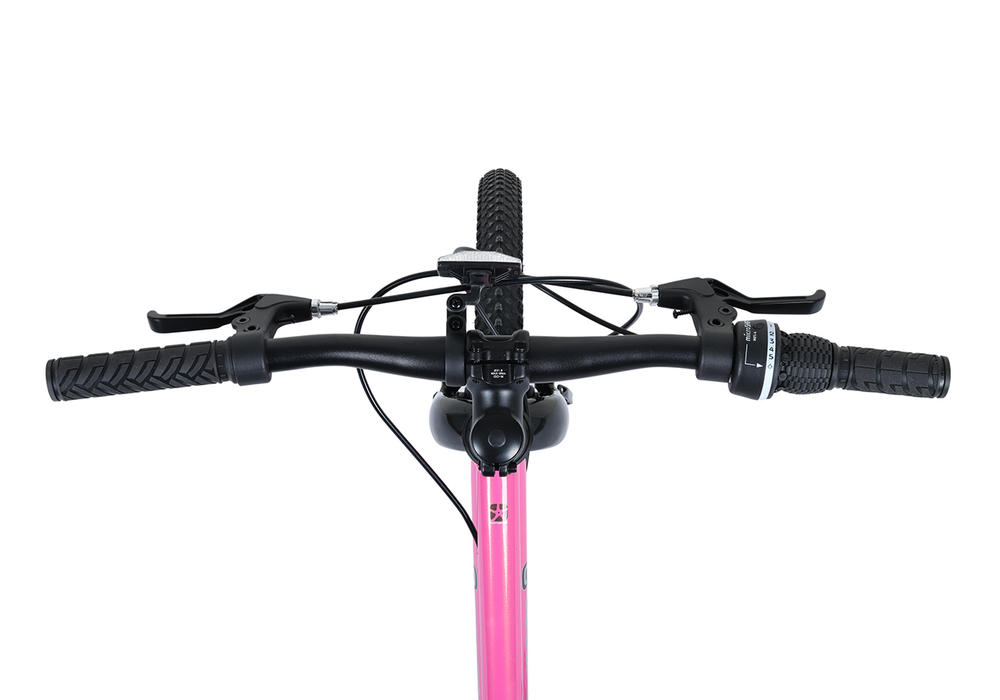 Велосипед 20'' Maxiscoo 3BIKE L Розовый (2026)