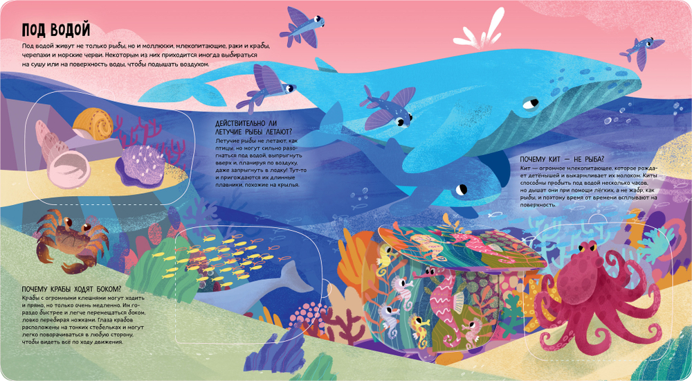 Энциклопедия почемучки. Книжка с окошками. Животные мира