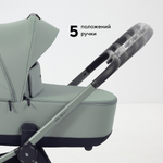 Детская коляска Rant Flex Therm Soft 2 в 1 Forest Green