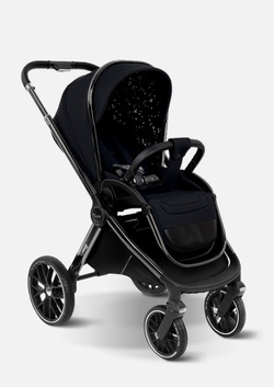 Pituso Коляска 2 в 1 Mayla Luxury Black