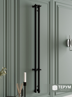 Полотенцесушитель Винтаж 2 120х10 Черный лак