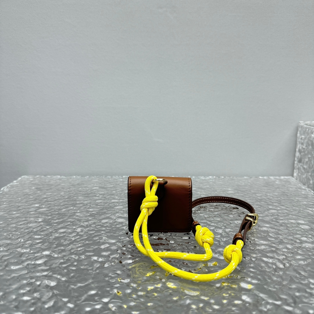 Miu Miu Trick With Mini Pouch
