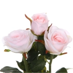 Цветочная композиция «Весенняя рапсодия» 14*23см Роза розовая