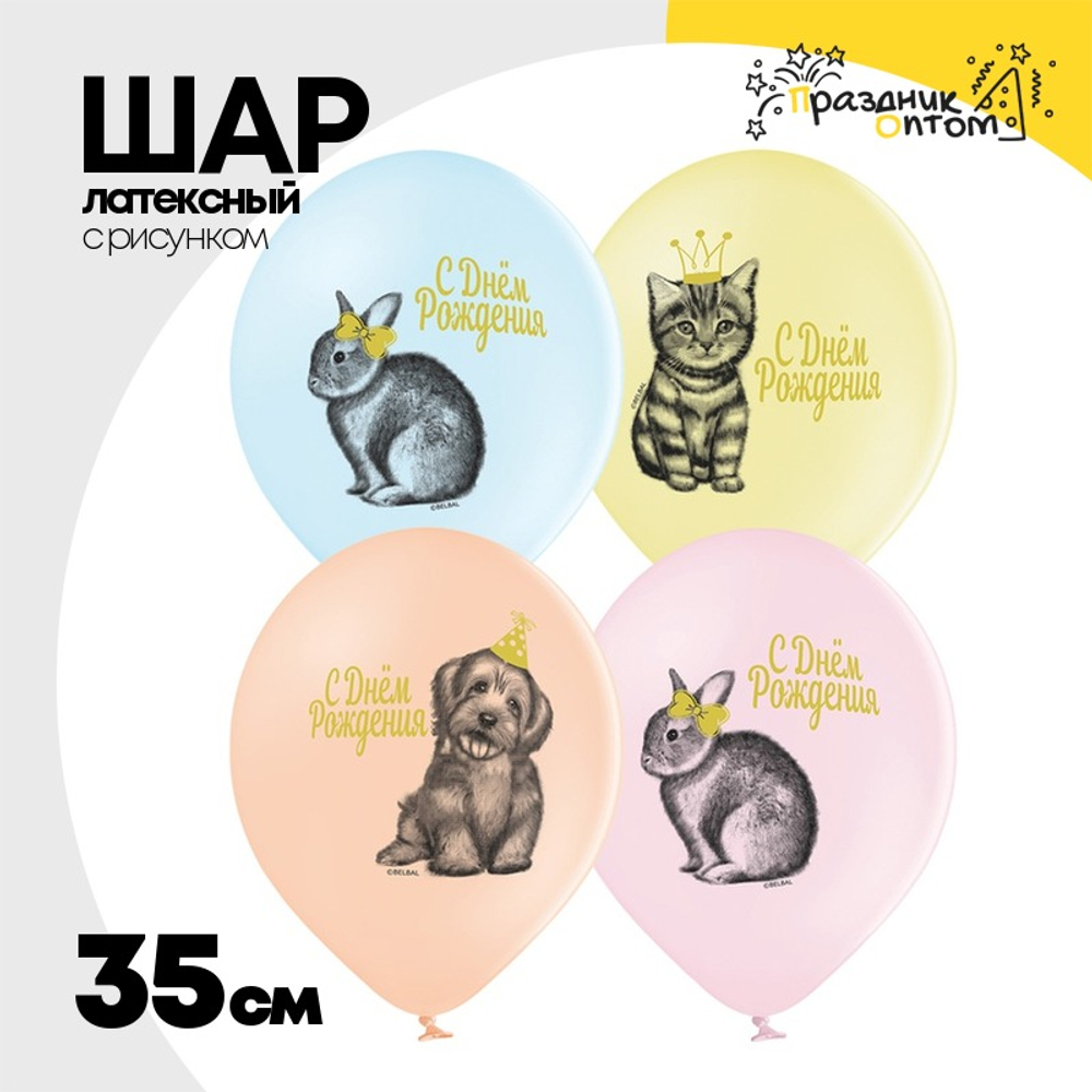 Шар латексный 35см С ДР! Домашние питомцы (Ассорти)