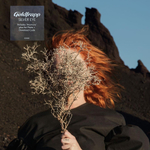 Goldfrapp Silver Eye