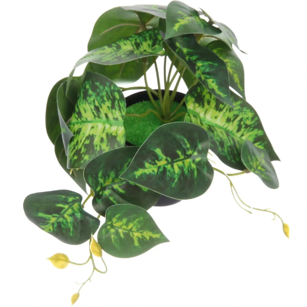 Цветок искусственный в горшке «Диффенбахия» 20*16см гладкий лист