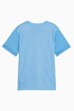 Футболка Puma teamGOAL Matchday Junior - голубой