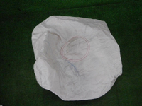 DSCN9328.JPG