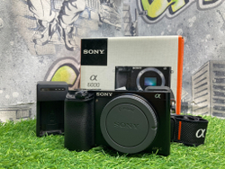 Sony A6000 (7.810 кадров)