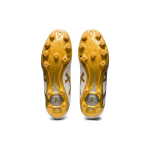 Кроссовки Asics DS LIGHT NARROW AG（ ）, 1103A070-122