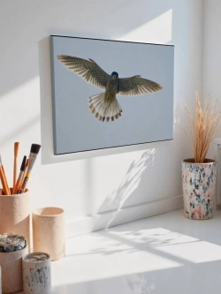 Картина на стену 40 X 50 Сокол