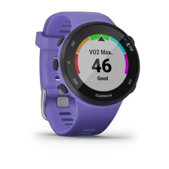 Беговые GPS часы Garmin Forerunner 45S (ирис) 010-02156-11