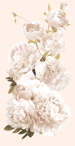 Коллекция Цветы