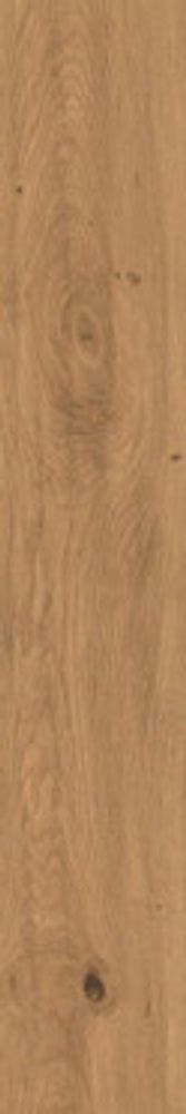 Керамогранит Log Amber Oak (AX3E)