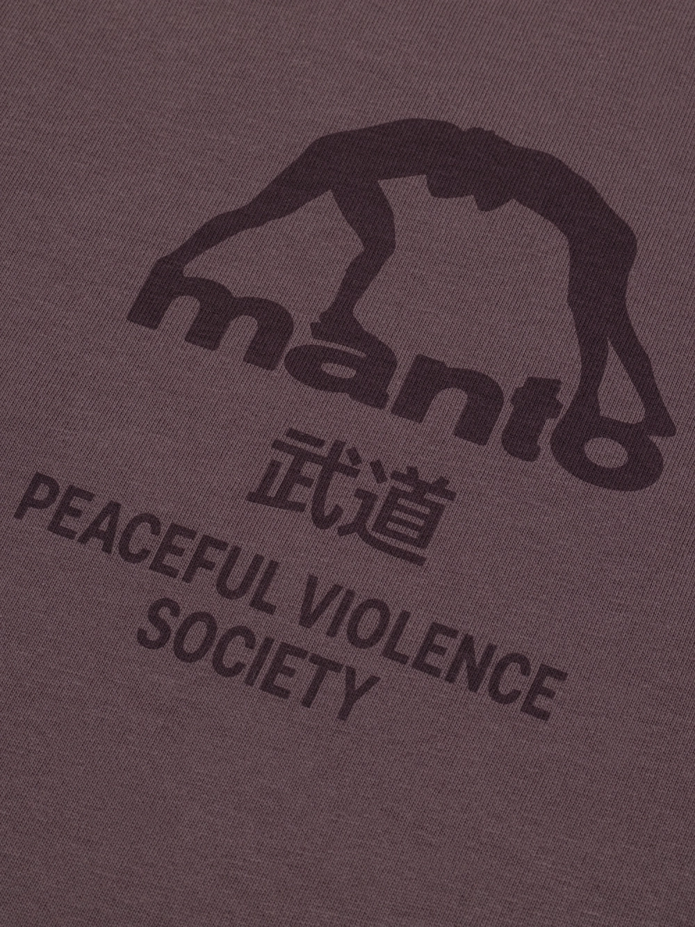 Футболка MANTO SOCIETY сливовая