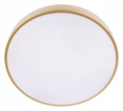 Накладной светильник Loft it Flims 10228/A