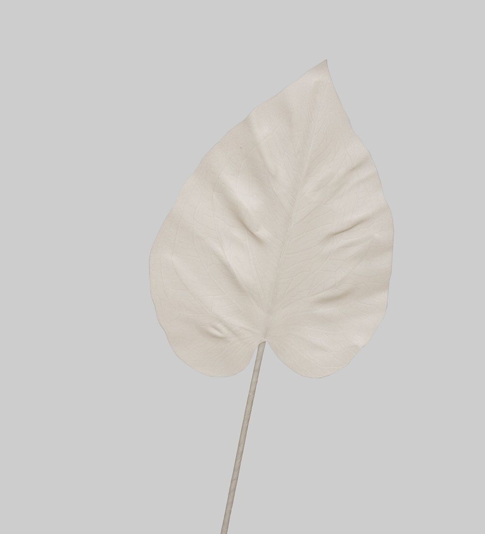 TR 574M Каладиум