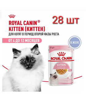 Роял Канин Kitten котята/желе 85гр./28шт.