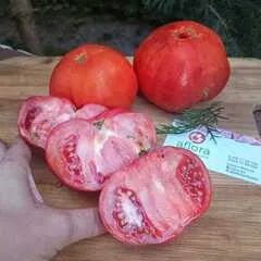 Помидоры деревенские луховицкие / 3 кг Помидоры деревенские луховицкие / 3 кг